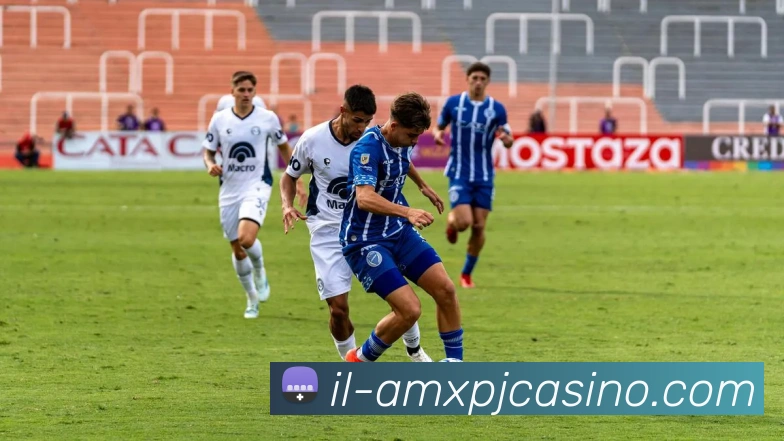 澳门新葡京娱乐品牌故事