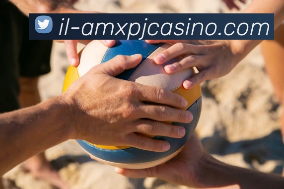 澳门新葡京娱乐服务体系